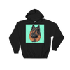 Men's / Women's Custom Pet Print Hoodie (Black)