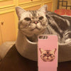 Custom Pet Phone Case